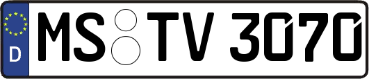 MS-TV3070