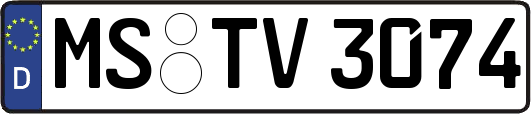 MS-TV3074