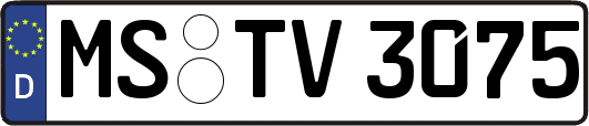 MS-TV3075