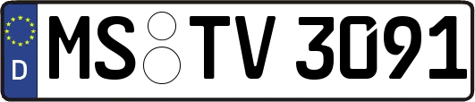 MS-TV3091