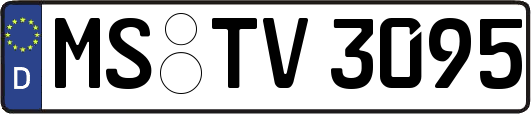 MS-TV3095