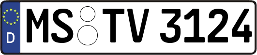 MS-TV3124