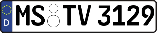 MS-TV3129