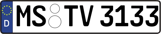 MS-TV3133