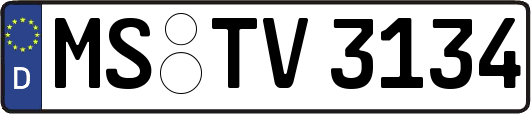 MS-TV3134