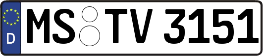 MS-TV3151