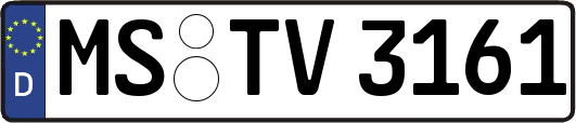 MS-TV3161