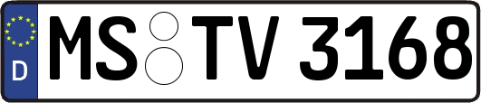 MS-TV3168