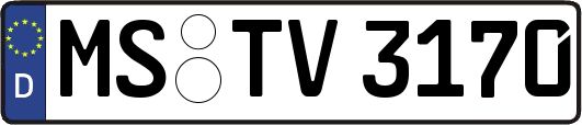MS-TV3170