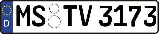 MS-TV3173