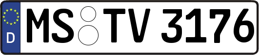 MS-TV3176