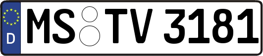 MS-TV3181