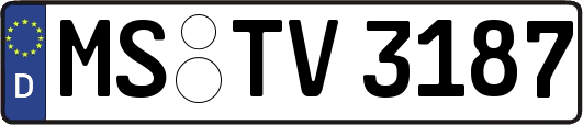 MS-TV3187