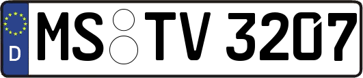MS-TV3207