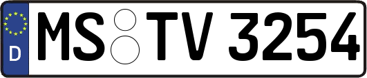 MS-TV3254