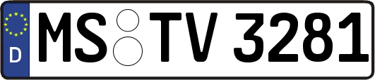 MS-TV3281