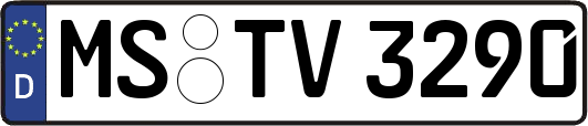 MS-TV3290