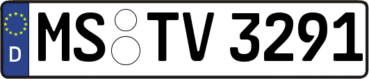 MS-TV3291