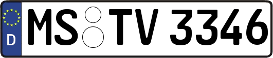 MS-TV3346