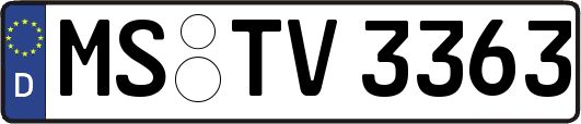 MS-TV3363