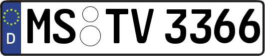MS-TV3366