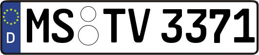 MS-TV3371