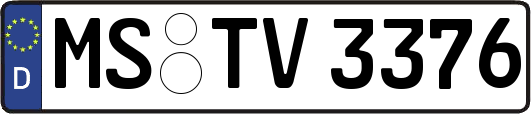 MS-TV3376