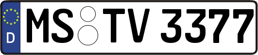 MS-TV3377