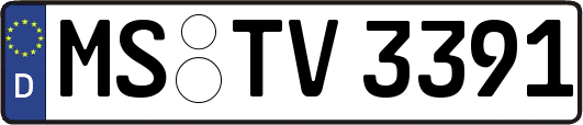 MS-TV3391