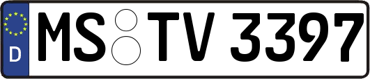MS-TV3397