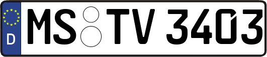 MS-TV3403