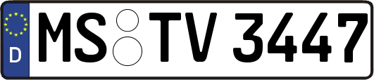 MS-TV3447
