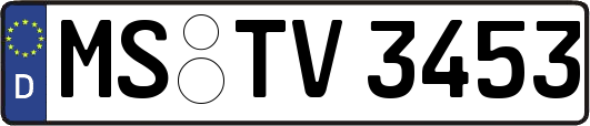 MS-TV3453
