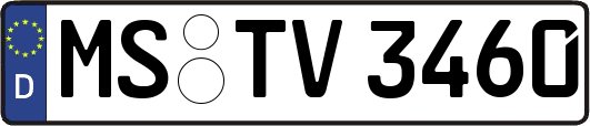 MS-TV3460