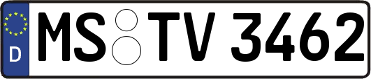 MS-TV3462