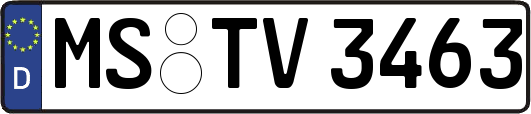 MS-TV3463