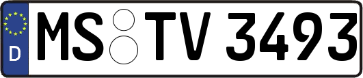 MS-TV3493