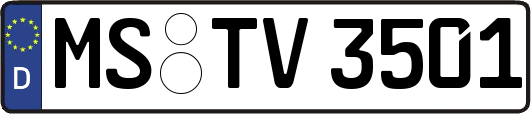 MS-TV3501