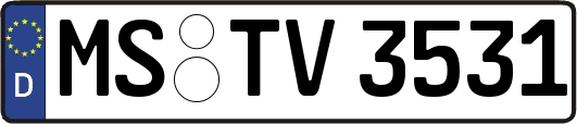 MS-TV3531