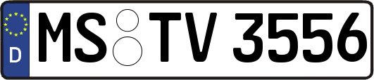 MS-TV3556