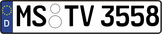 MS-TV3558
