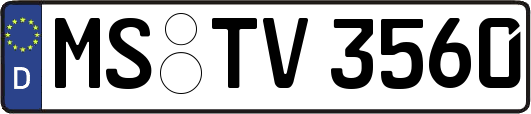 MS-TV3560