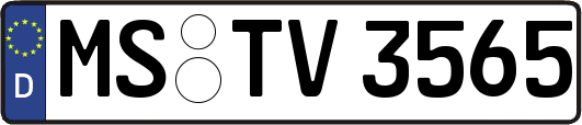 MS-TV3565