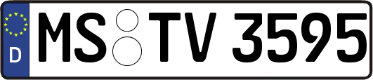 MS-TV3595