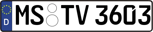 MS-TV3603