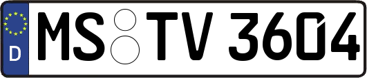MS-TV3604