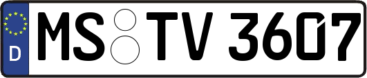 MS-TV3607