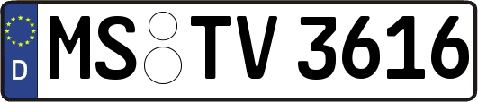 MS-TV3616