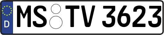 MS-TV3623