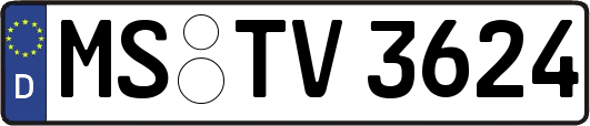 MS-TV3624